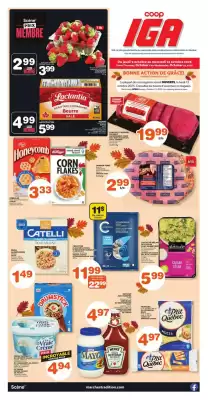 IGA flyer