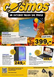Cosmos Flugblatt Seite 1