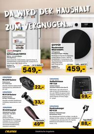 Cosmos Flugblatt Seite 14