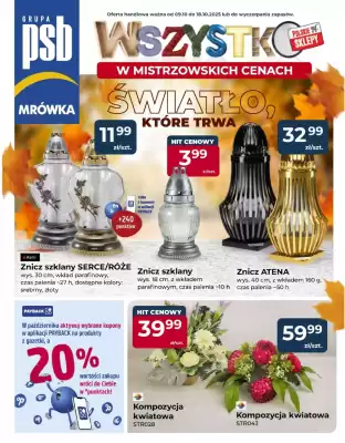 Mrówka gazetka (ważność do 18-10)