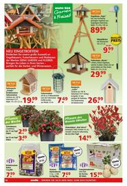 Multi Markt Prospekt woche 41 Seite 18