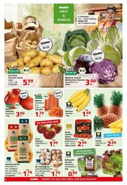 Multi Markt Prospekt woche 41 Seite 6