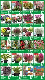 Wreesmann Prospekt woche 41 Seite 3