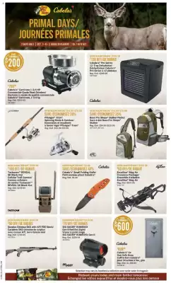 Cabela's flyer