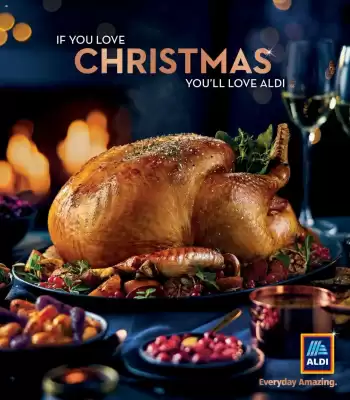 Aldi leaflet (valid until 31-12)