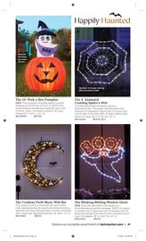 Hammacher Schlemmer weekly ad week 41 Page 41