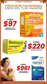 Catálogo Farmapronto Página 22