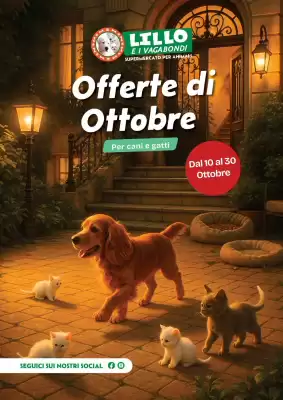 Volantino Lillo e i Vagabondi (valido fino al 30-10)