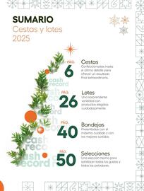 Folleto Cash Record Página 3