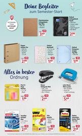 Rossmann leták Strana 3