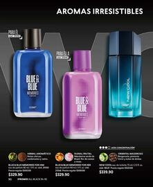 Catálogo Cyzone Página 106