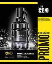 Catálogo Cyzone Página 111