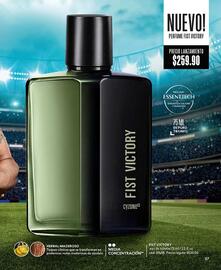 Catálogo Cyzone Página 113