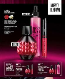 Catálogo Cyzone Página 51