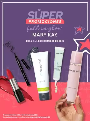 Catálogo Mary Kay (válido hasta 16-10)
