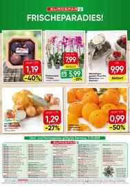 Eurospar Flugblatt Seite 16