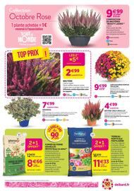 Catalogue Delbard page 2