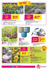 Catalogue Delbard page 3
