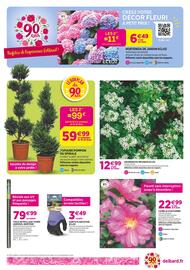 Catalogue Delbard page 4