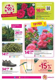 Catalogue Delbard page 5