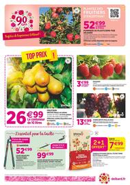 Catalogue Delbard page 6