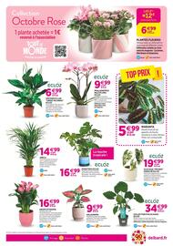 Catalogue Delbard page 7