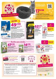 Catalogue Delbard page 8