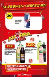 Folleto Supermercados DIA semana 41 Página 18