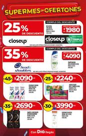 Folleto Supermercados DIA semana 41 Página 22