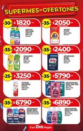 Folleto Supermercados DIA semana 41 Página 25