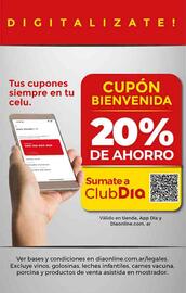 Folleto Supermercados DIA semana 41 Página 26