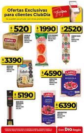 Folleto Supermercados DIA semana 41 Página 45