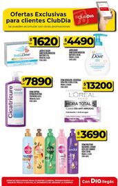Folleto Supermercados DIA semana 41 Página 51