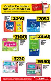 Folleto Supermercados DIA semana 41 Página 52