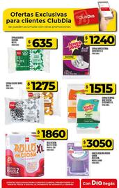 Folleto Supermercados DIA semana 41 Página 55