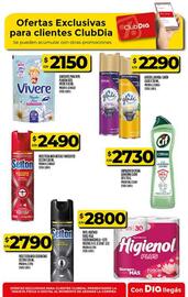Folleto Supermercados DIA semana 41 Página 57