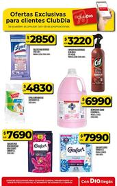Folleto Supermercados DIA semana 41 Página 58