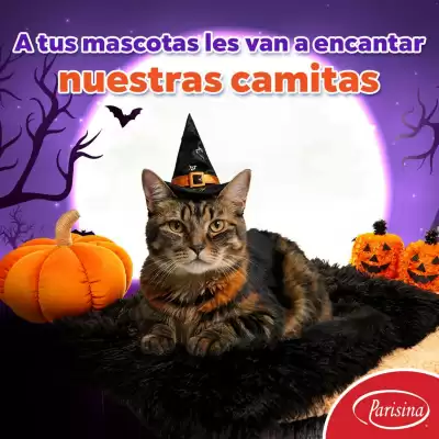 Catálogo Parisina (válido hasta 31-10)