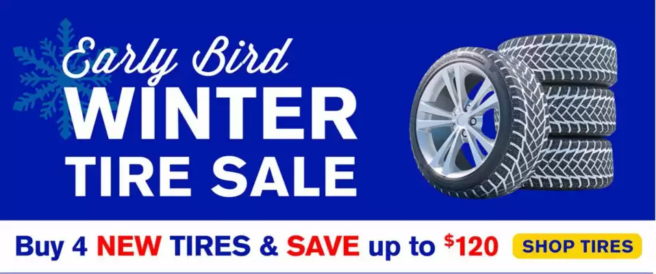 Mr Lube flyer (valid until 30-11)