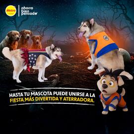 Catálogo Metro Página 3