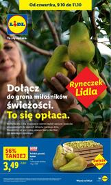 Lidl gazetka Strona 21