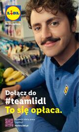 Lidl gazetka Strona 22