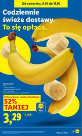 Lidl gazetka Strona 23