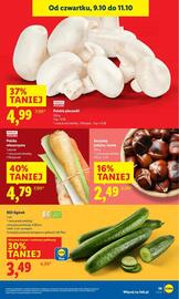 Lidl gazetka Strona 25