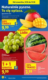 Lidl gazetka Strona 26