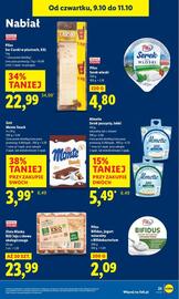 Lidl gazetka Strona 29