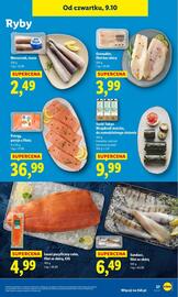 Lidl gazetka Strona 33