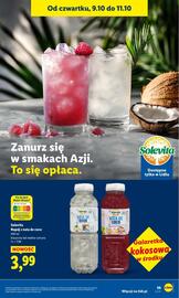 Lidl gazetka Strona 45