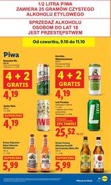 Lidl gazetka Strona 47