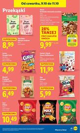 Lidl gazetka Strona 49